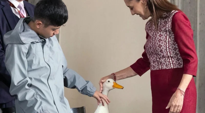 Merlin the duck unruffled after meeting president of Mexico, Claudia Sheinbaum