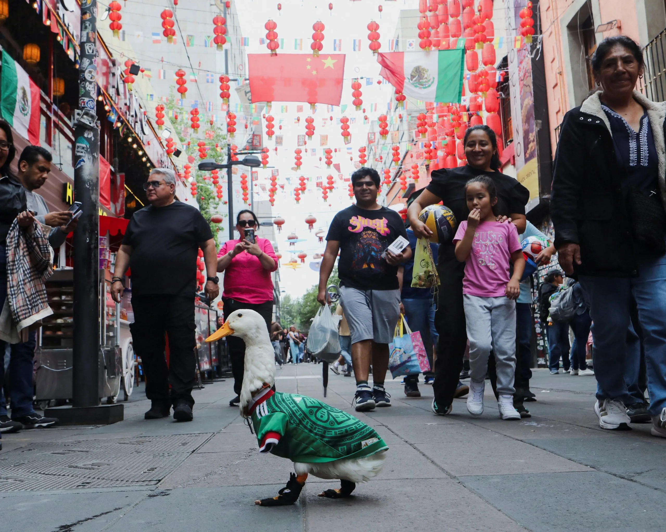 Merlin the duck turns heads in Mexico City.